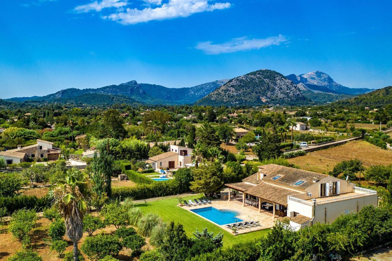Rico * Pollensa